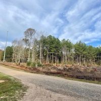 Land For Sale in Walthall County images 4