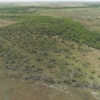 Live Oak County Ranch images 2