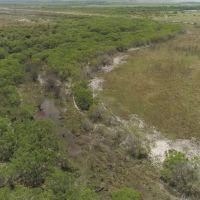 Live Oak County Ranch images 3