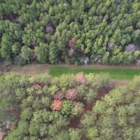 Hunting Land for Sale in Amite County