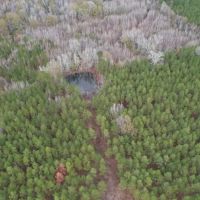 Hunting Land for Sale in Amite County images 2