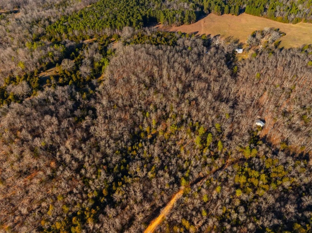 11 - Acres Wooded Batesville Arkansas featured image