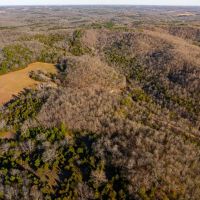 11 - Acres Wooded Batesville Arkansas images 2