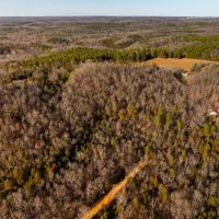 11 - Acres Wooded Batesville Arkansas images 4