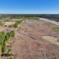 10.91 acres of Recreational Land For Sale in Harnett County NC images 3