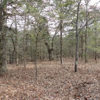 310 ACRES OF SECLUDED RECREATIONAL LAND images 4