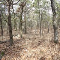 310 ACRES OF SECLUDED RECREATIONAL LAND images 5