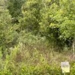 AR - Desha 327 acres - featured image