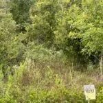 AR - Desha 327 acres -