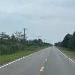 AR - Desha 327 acres - images 2