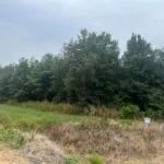 AR - Desha 327 acres - images 4