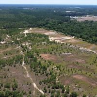 11.02 acres of Recreational Land For Sale in Harnett County NC images 3