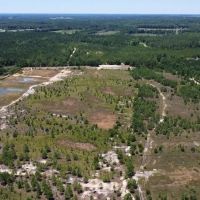 11.02 acres of Recreational Land For Sale in Harnett County NC images 5