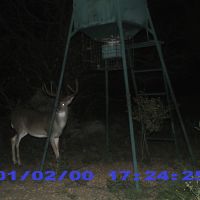 TROPHY DEER AND WILDLIFE VARIETY - A ZOO