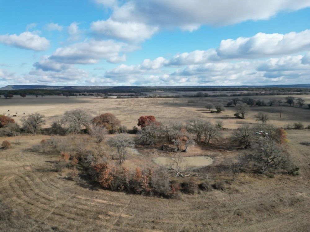 New Listing 133.43 Acres Callahan County featured image
