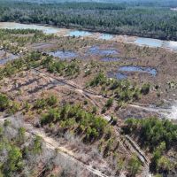 11.02 acres of Recreational Land For Sale in Harnett County NC images 2