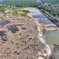 11.02 acres of Recreational Land For Sale in Harnett County NC images 5