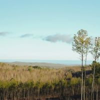 21.7 Acres in Meigs County Tennessee