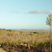 21.7 Acres in Meigs County Tennessee images 2
