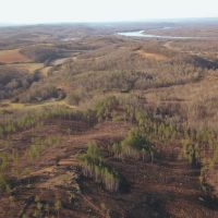 21.7 Acres in Meigs County Tennessee images 3