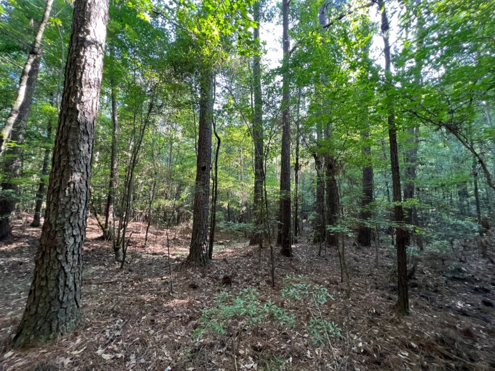 LA - Union 40 acres - featured image