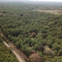 LA - Union 40 acres - images 3
