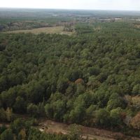 LA - Union 40 acres - images 4