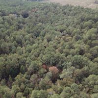 LA - Union 40 acres - images 5