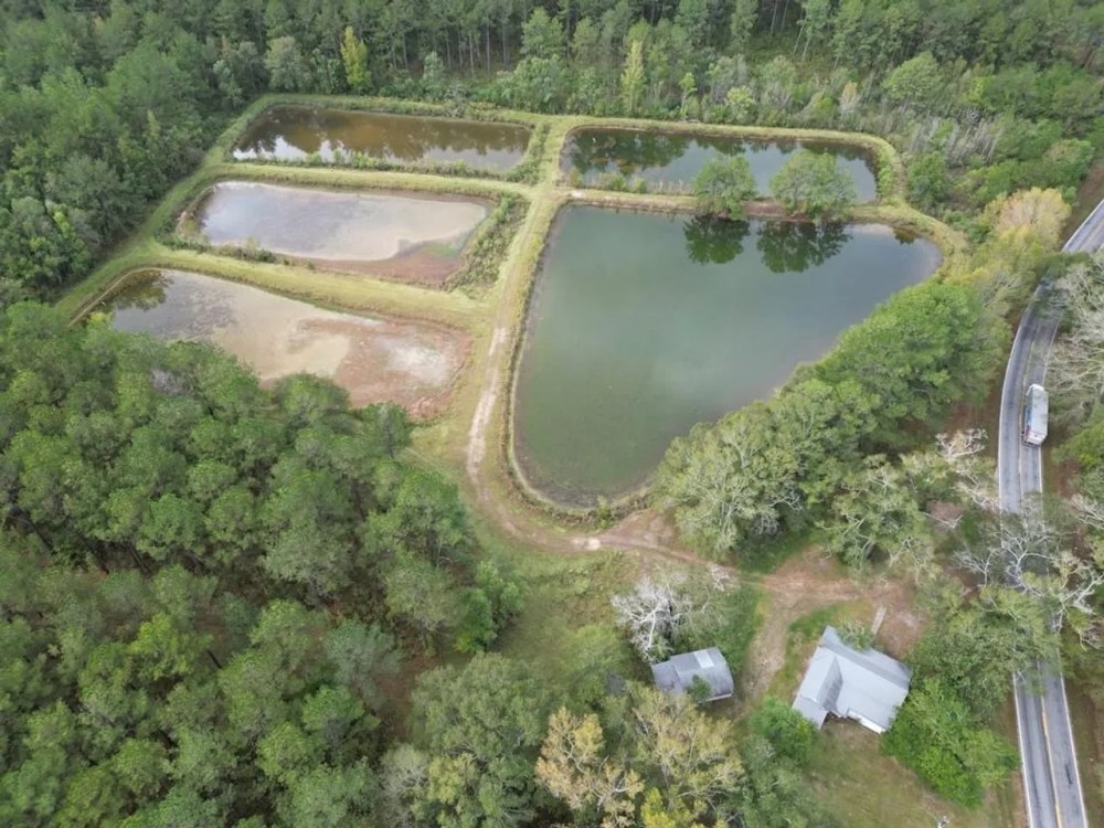 Unique Recreational Tract in SW MS with 6 Ponds featured image
