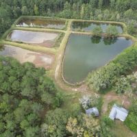 Unique Recreational Tract in SW MS with 6 Ponds