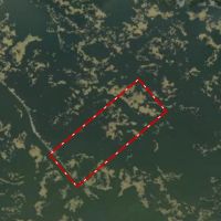 LA - St. Bernard Parish 160 acres - images 2