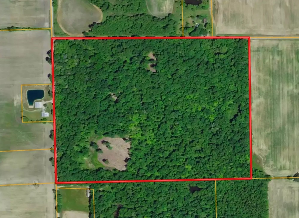 47 - ACRES DEKALB COUNTY HUNTING TIMBER LAND FOR SALE featured image