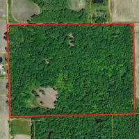 47 - ACRES DEKALB COUNTY HUNTING TIMBER LAND FOR SALE