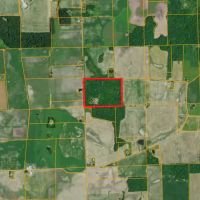 47 - ACRES DEKALB COUNTY HUNTING TIMBER LAND FOR SALE images 2