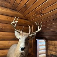 47 - ACRES DEKALB COUNTY HUNTING TIMBER LAND FOR SALE images 4