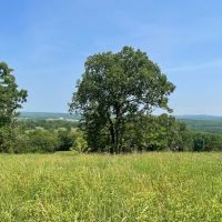 Private And Secluded Ozarks Retreat With Cabin And Caney Creek Access images 2