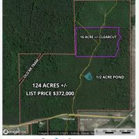 Hurricane Grove Road North Homestead Winn Parish 124 Acres - images 5