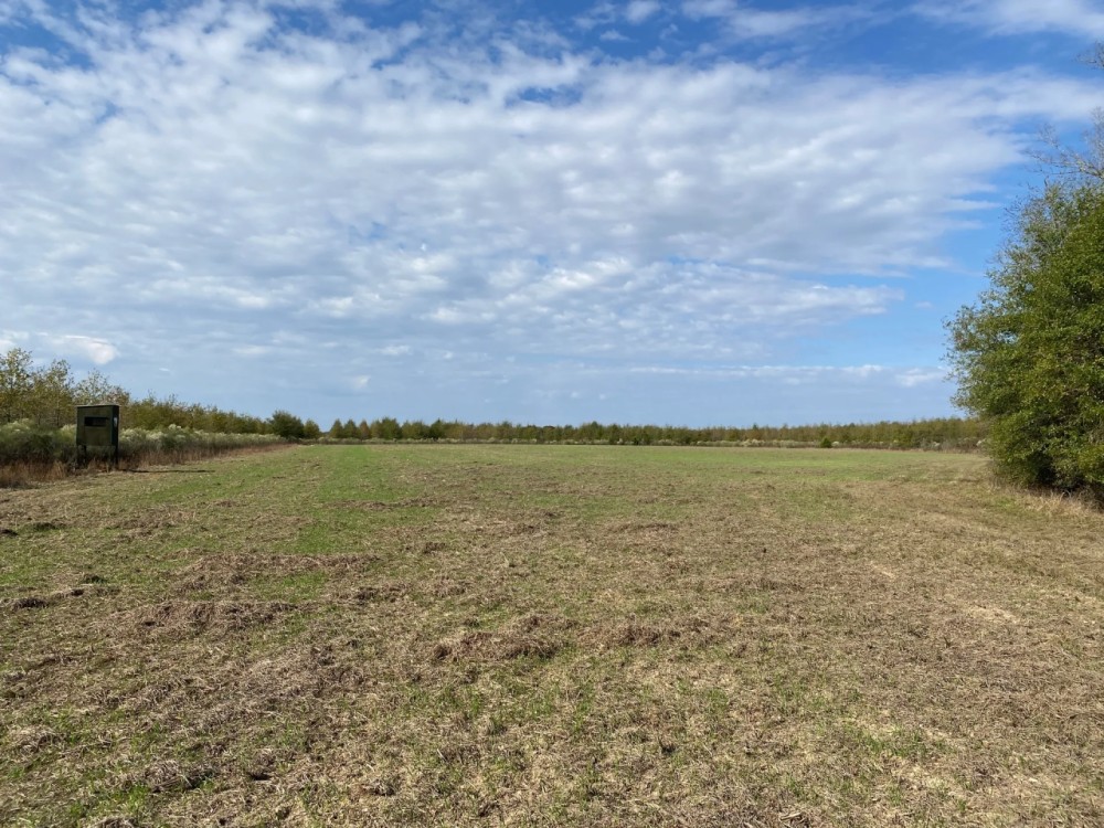 LA - Richland 190 acres - featured image