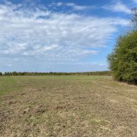 LA - Richland 190 acres - images 2