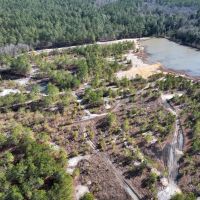 11.02 acres of Recreational Land For Sale in Harnett County NC images 3