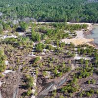 11.02 acres of Recreational Land For Sale in Harnett County NC images 4