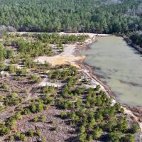 11.02 acres of Recreational Land For Sale in Harnett County NC images 5