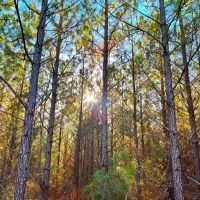 29-17-weoka-farm-47