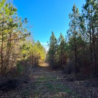 29-17-weoka-farm-47 images 2