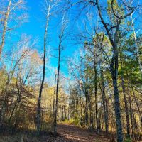 29-17-weoka-farm-47 images 3