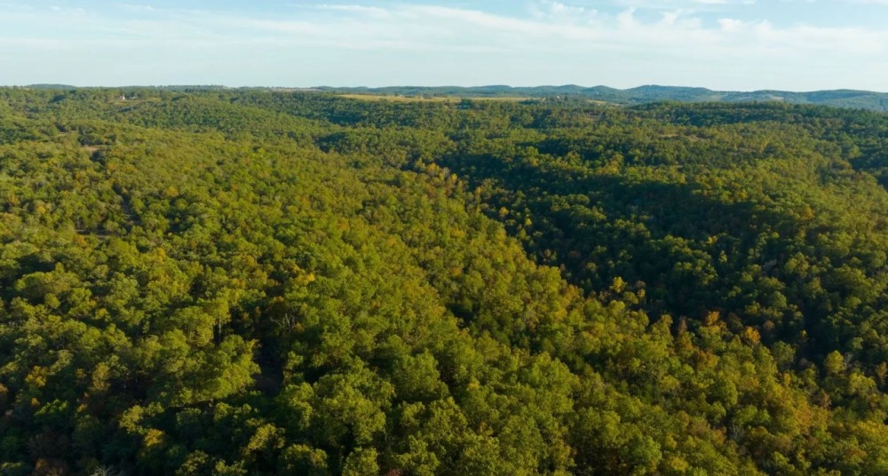 Ozarks Timber Tract Near Bull Shoals Lake featured image