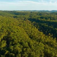 Ozarks Timber Tract Near Bull Shoals Lake