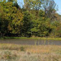 Ozarks Timber Tract Near Bull Shoals Lake images 3