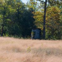 Ozarks Timber Tract Near Bull Shoals Lake images 4