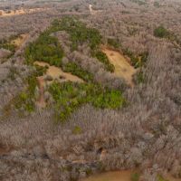 105 - Acres Hunting Property Creek Pond Sharp County Strawberry Arkansas